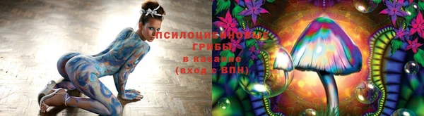 скорость Дмитровск