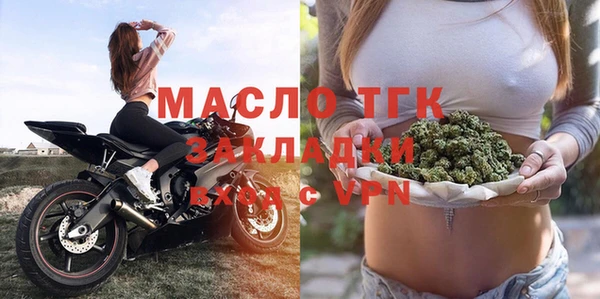 дмт Дмитриев