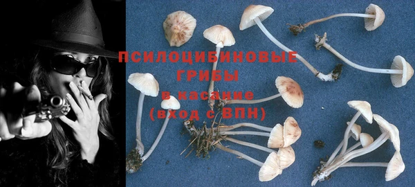 спиды Елизово